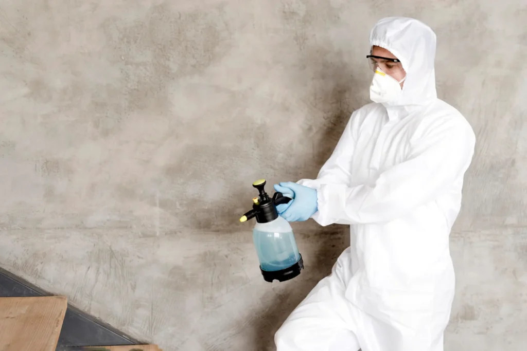 Mold inspection